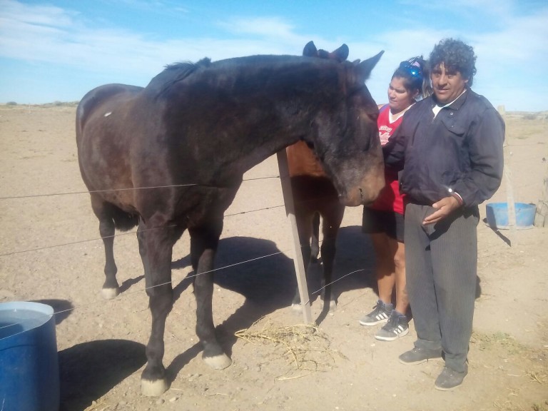 Más de cuarenta niños asisten al Campo de Equinoterapia sanantoniense