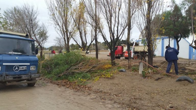 RECUPERACIÓN Y PUESTA EN VALOR DE ESPACIO VERDE