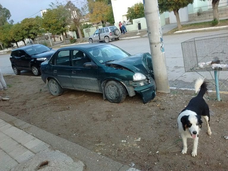 Por esquivar un perro chocó una columna