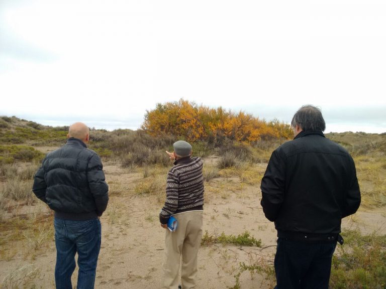 CONCEJALES VISITARON SACO VIEJO PARA AVANZAR EN DONACIÓN DE LUGAR HISTÓRICO AL MUNICIPIO