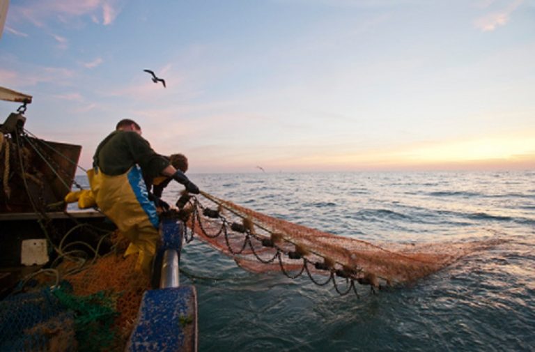 Se profundiza el conflicto: capitanes de pesca denunciaron a los pescadores artesanales