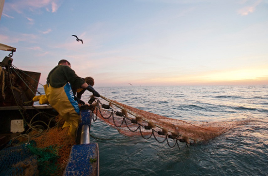 La pesca con redes de arrastre modificó la vida en el fondo del