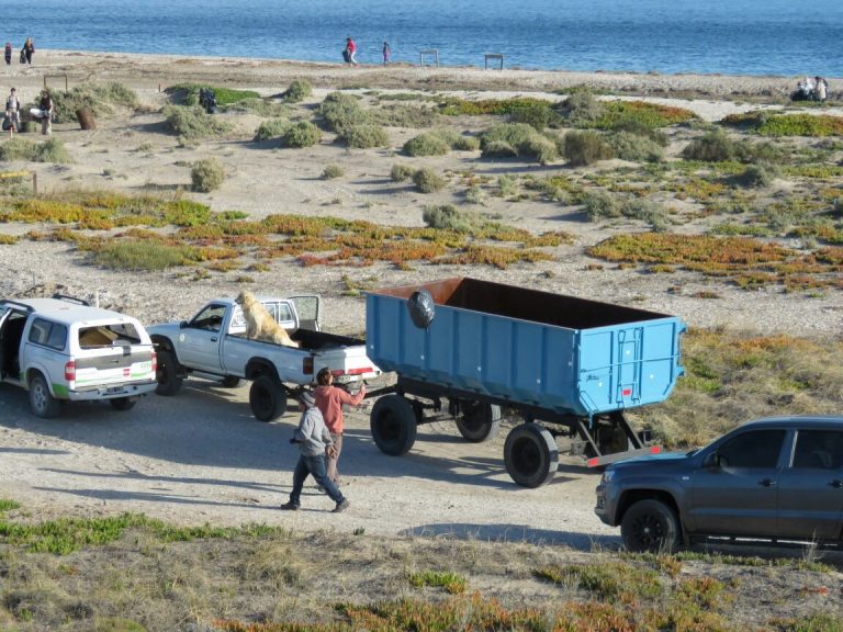 Intensa jornada de limpieza de playas en el Puerto de SAE