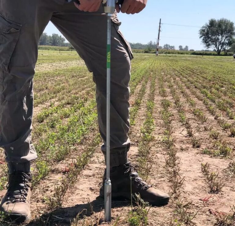 Daniel Vázquez: “el análisis de suelo permite corregir deficiencias para un desarrollo óptimo de los cultivos” Daniel Vázquez: “el análisis de suelo permite corregir deficiencias para un desarrollo óptimo de los cultivos”
