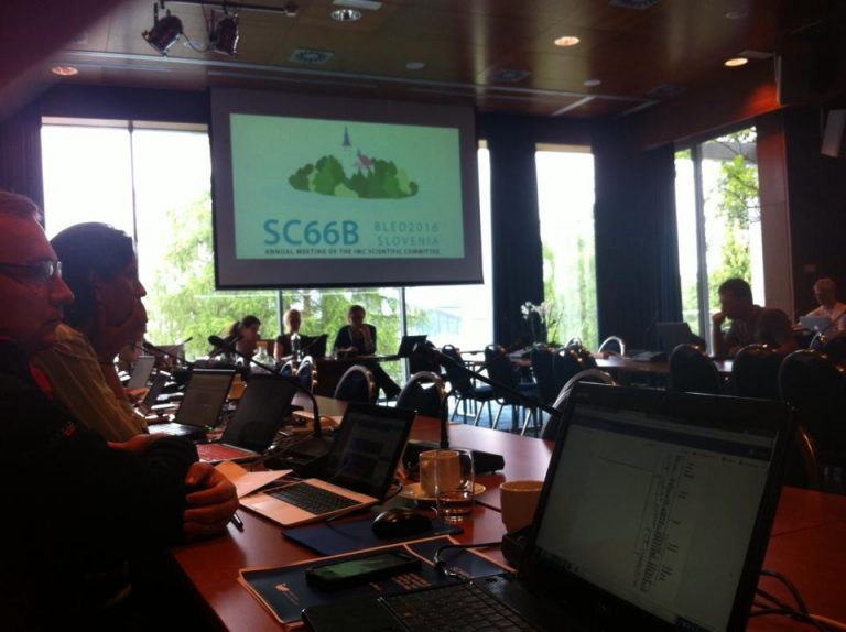 Presentan en Eslovenia el estudio sobre los delfines de la Bahía San Antonio