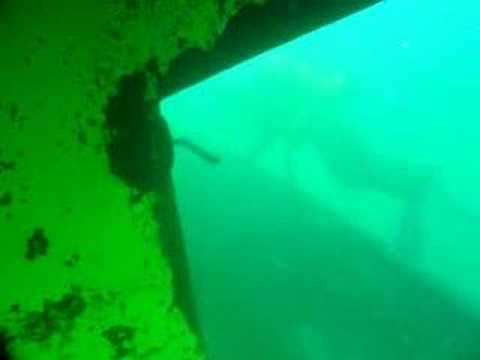 Proyectan declarar de interés y ampliar el parque submarino en Las Grutas