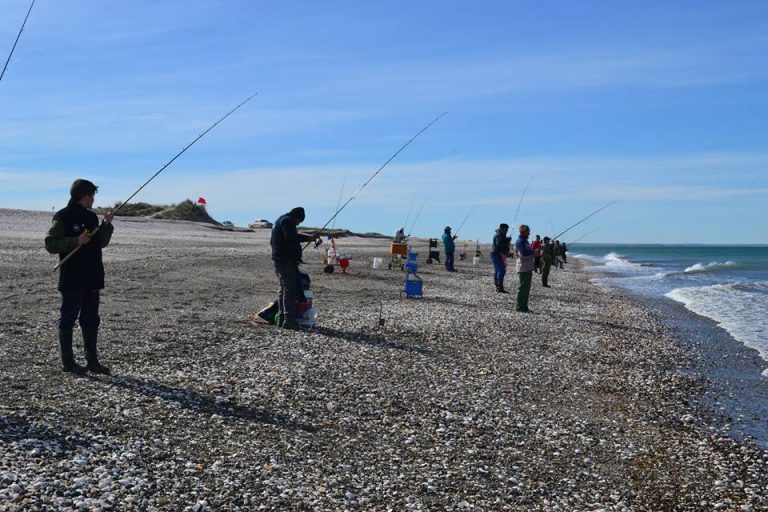 Pesca: se cumplió la quinta fecha del Club de Pescadores Punta Verde