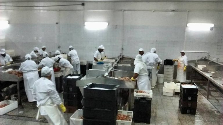 El Senado aprobó la jubilación especial para trabajadores de la industria pesquera