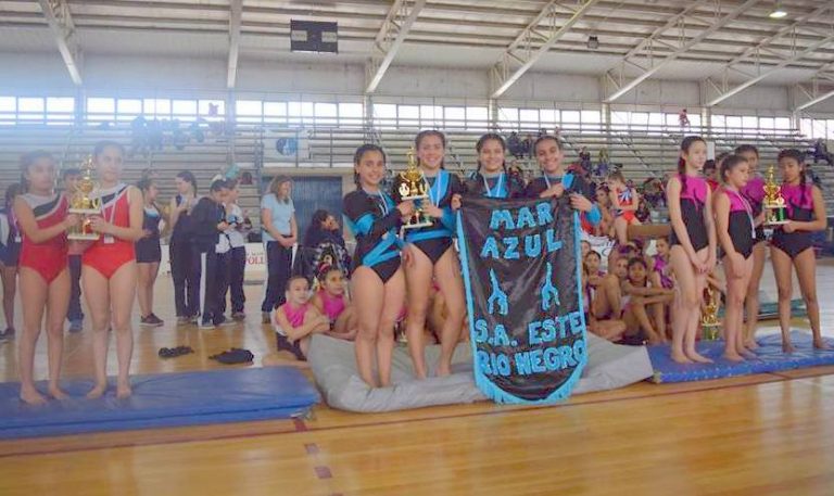 Destacada participación de la Escuela Municipal de Gimnasia en Cipolletti