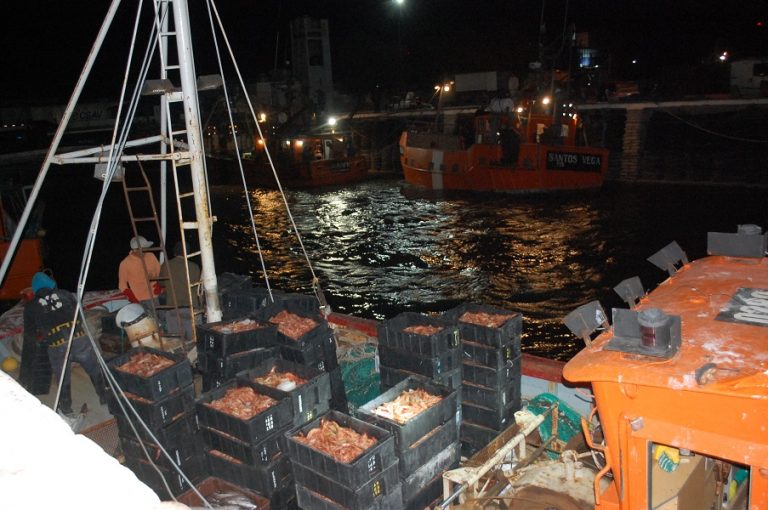 Incrementaron los valores en el muelle municipal “Heleno Arcángel”