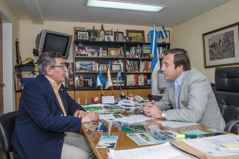 «El Plan Castello es la desesperación de Wereltineck por pedir dinero»