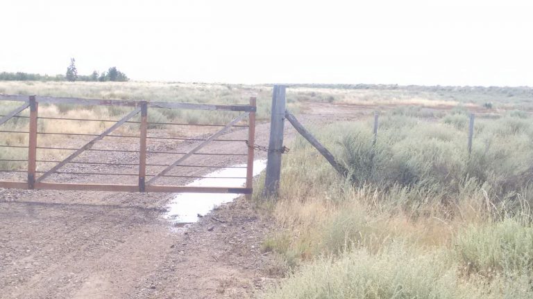 Ojeda intimó a ARSA por los nauseabundos olores que invaden San Antonio Oeste