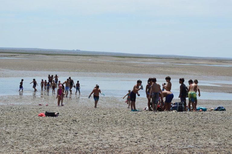 Colonia de vacaciones municipales “con poco hacemos muchos por los chicos”