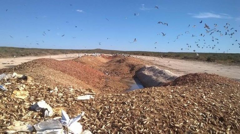 Ojeda anunció que los desechos de langostinos se depositarán a 18 kilómetros de las localidades