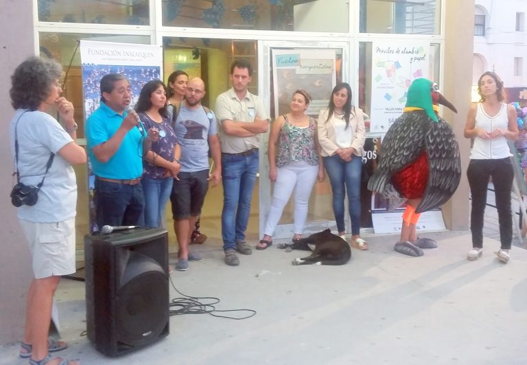 Inició el 8vo. Festival de Aves Playeras en Las Grutas
