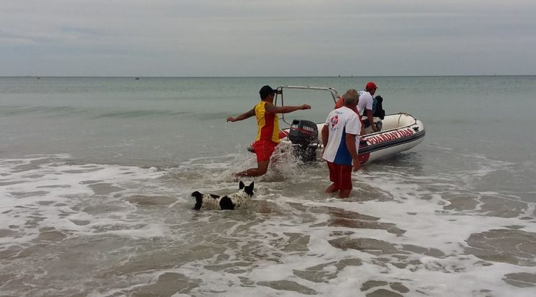 Guardavidas rescatan a cuatro bañistas en Las Grutas
