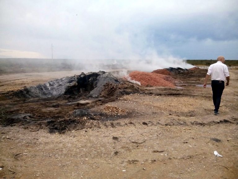 Quedó en evidencia como depositan toneladas de residuos de langostinos entre Las Grutas y San Antonio