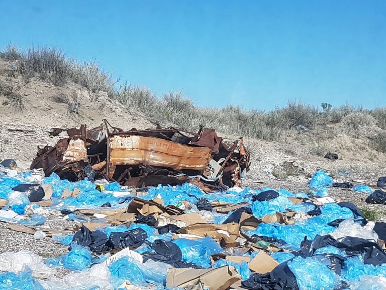 También proliferan basurales en el Puerto de SAE