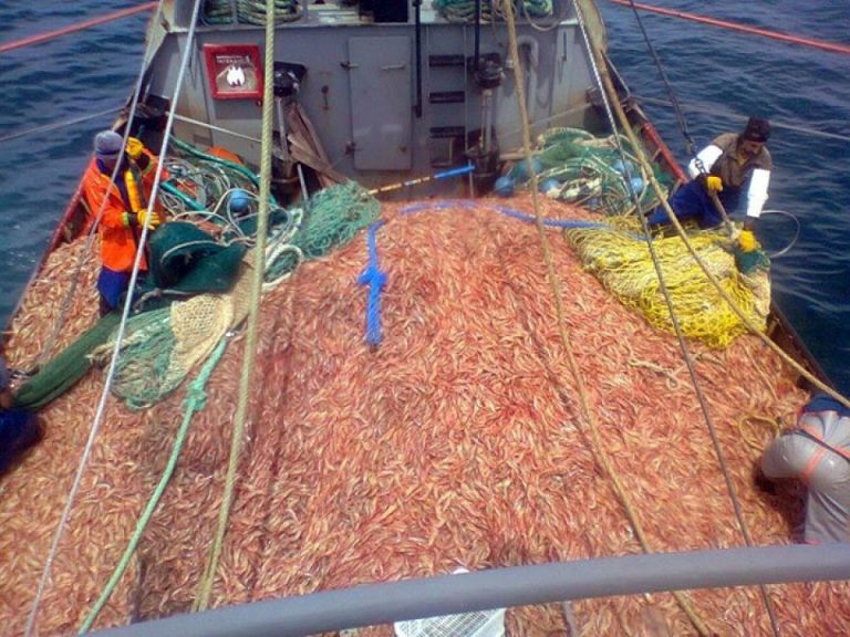 “La economía de la pesca es muy importante para la población sanantoniense, mucho más de lo que algunos creen”