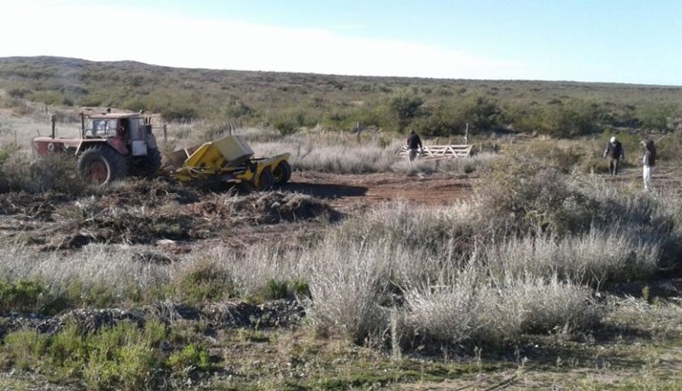 Solicitan precisiones respecto quién pagará las obras en campo privado para los desechos de langostinos