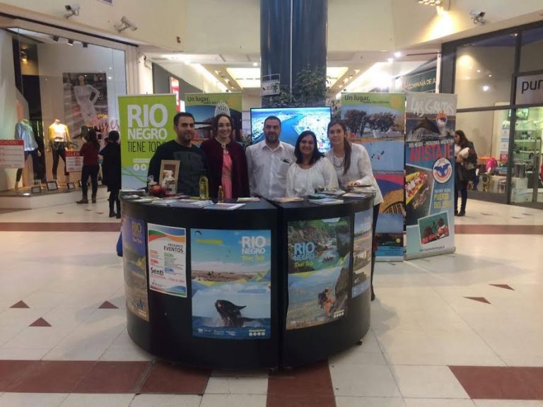 Avistaje de Fauna Marina se promocionó en Bahía Blanca