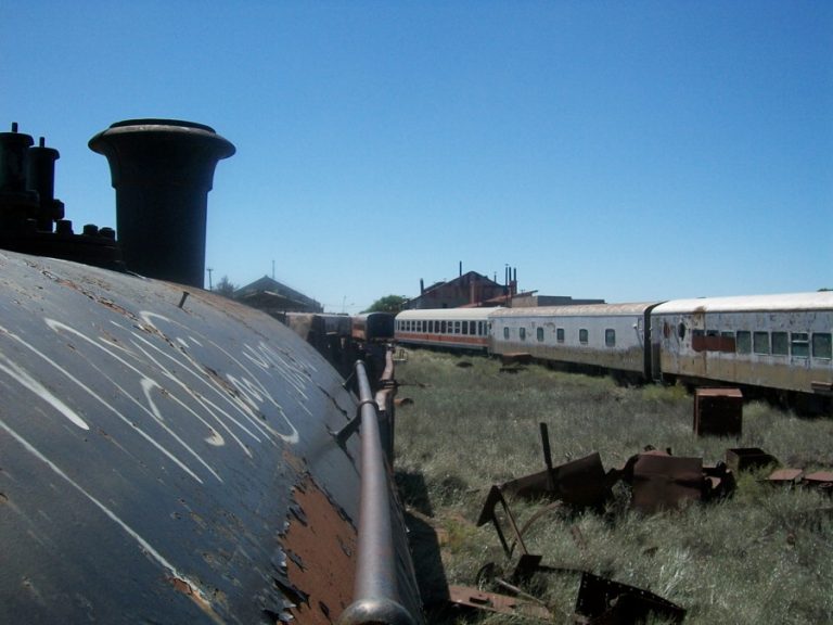 El Deliberante repudia el decreto presidencial que clausura ramales ferroviarios