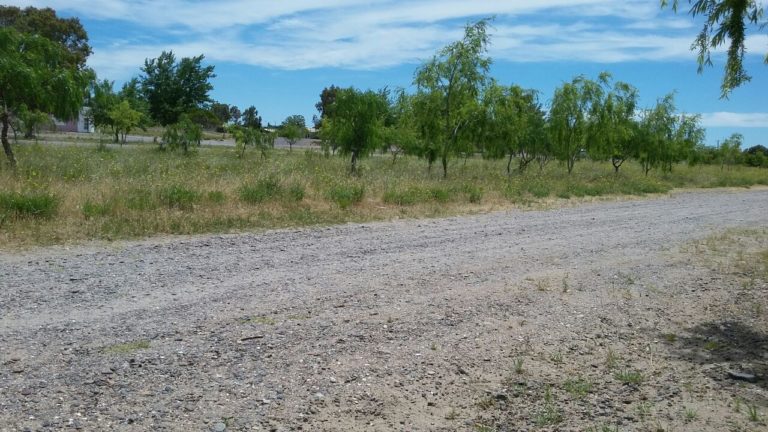 Moyano, presidente de la Junta Vecinal “El Puerto del Este está desatendido, es algo que nos duele”