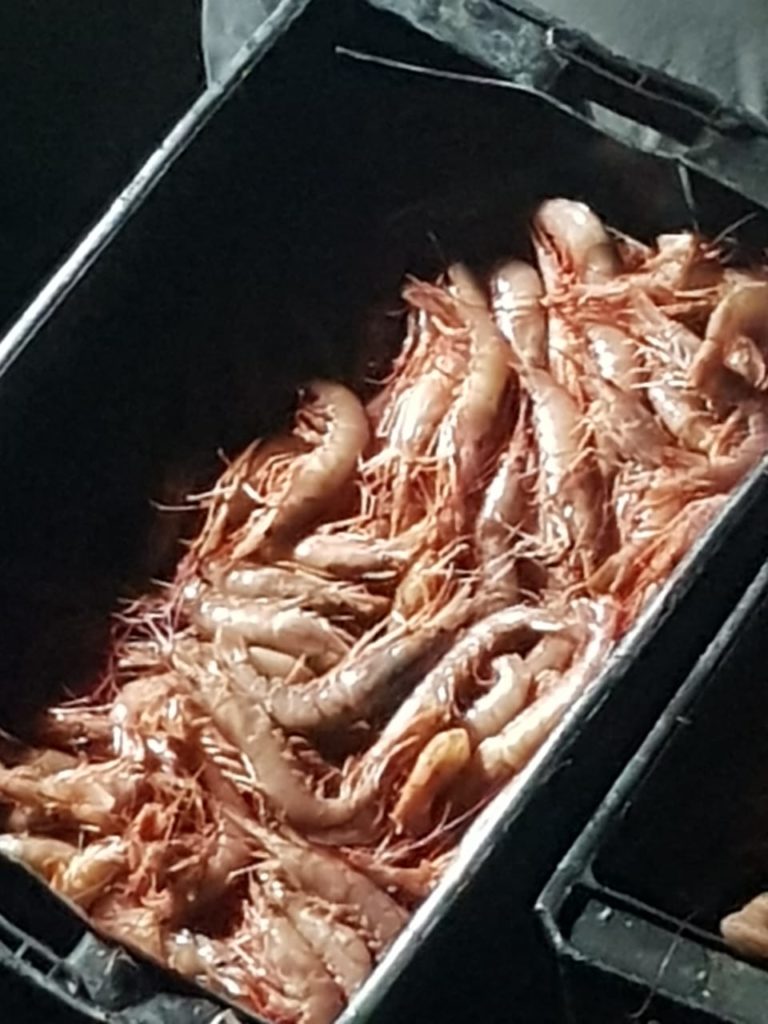 El gobernador Weretilneck destacó el trabajo de la pesca de langostinos El gobernador Weretilneck destacó el trabajo de la pesca de langostinos