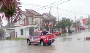 movil
