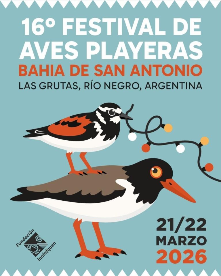 Las Grutas se prepara para el 16° Festival de Aves Playeras de la Bahía de San Antonio Las Grutas se prepara para el 16° Festival de Aves Playeras de la Bahía de San Antonio