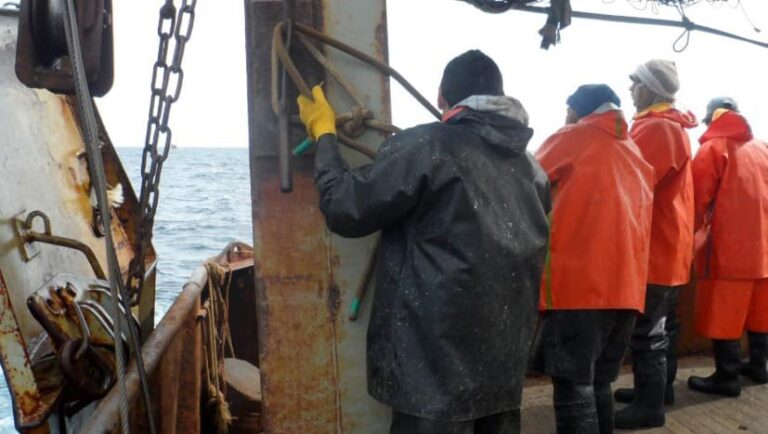 SAO: 30 años cargando cajones de 40 kilos de pescado, quedó con lesiones y será indemnizando
