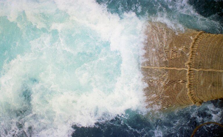Pesca: aplicaron multas a barcos por no cumplir las resoluciones