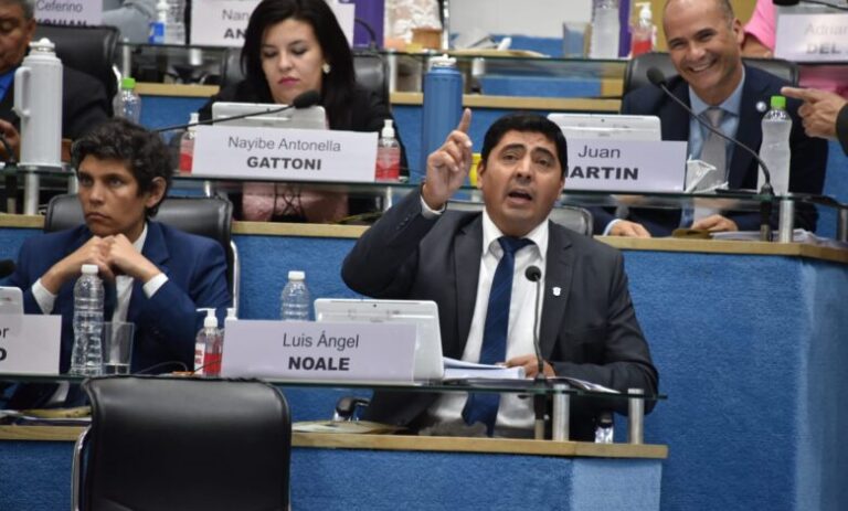 Para Noale, la ley impositiva anual que propone provincia no es clara