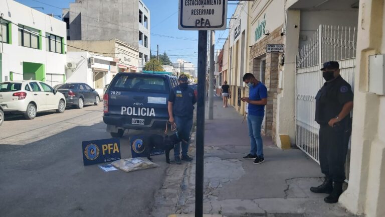 “Kira” morocha y efectiva, la perra que encontró la droga con destino a la zona atlántica