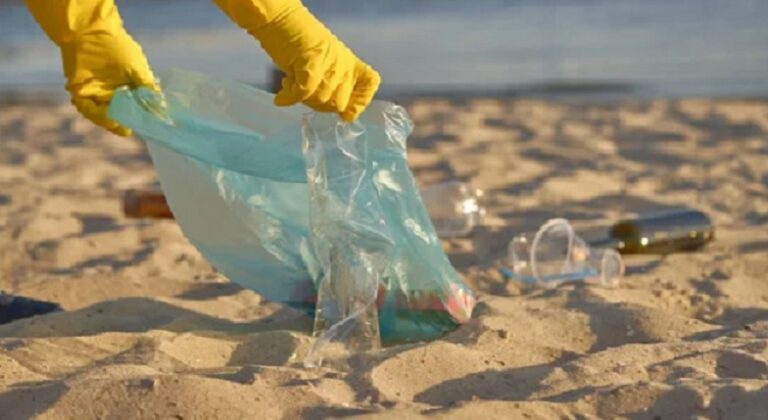 San Antonio Oeste avanza con la creación del Consejo de Gestión Ambiental y presenta un amplio plan de acción para 2026 San Antonio Oeste avanza con la creación del Consejo de Gestión Ambiental y presenta un amplio plan de acción para 2026