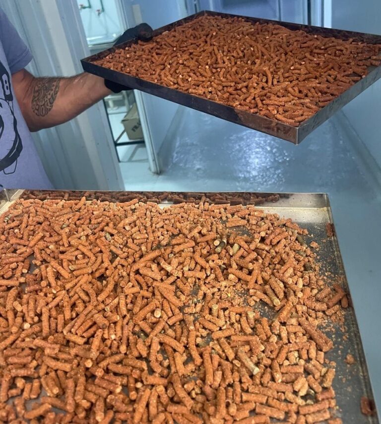 Un proyecto del CENPAT busca transformar cabezas de langostino en alimento para animales Un proyecto del CENPAT busca transformar cabezas de langostino en alimento para animales