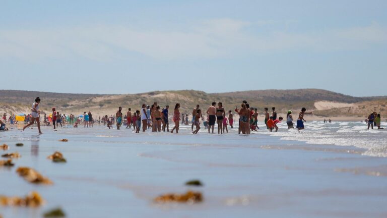 Cinco playas imperdibles de la costa rionegrina que tenés que visitar