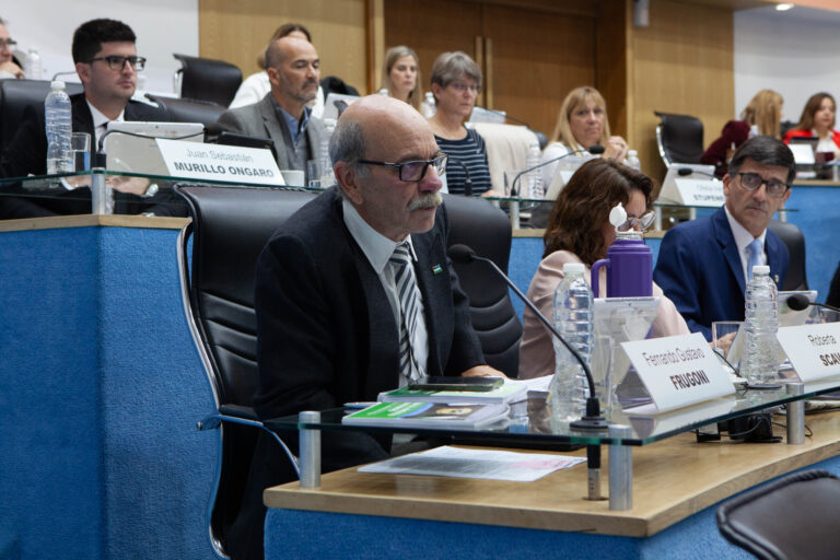 Frugoni anticipó que apoyará el acuerdo del proyecto Argentina LNG Frugoni anticipó que apoyará el acuerdo del proyecto Argentina LNG