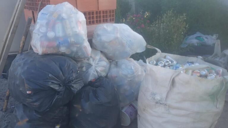 Buscan reactivar el reciclaje en San Antonio Oeste en medio de la caída del precio de materiales Buscan reactivar el reciclaje en San Antonio Oeste en medio de la caída del precio de materiales