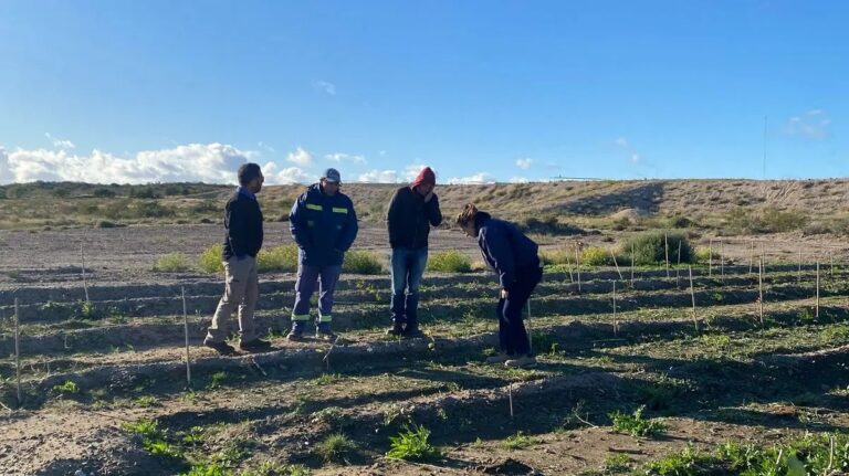 Las Grutas: convenio técnico para aprovechamiento de agua residual
