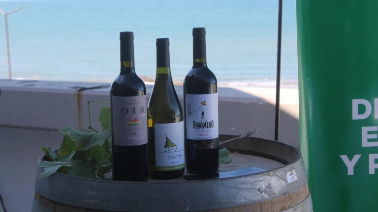 Cava Submarina en Las Grutas: bodegas rionegrinas realizarán la crianza de sus vinos en el mar