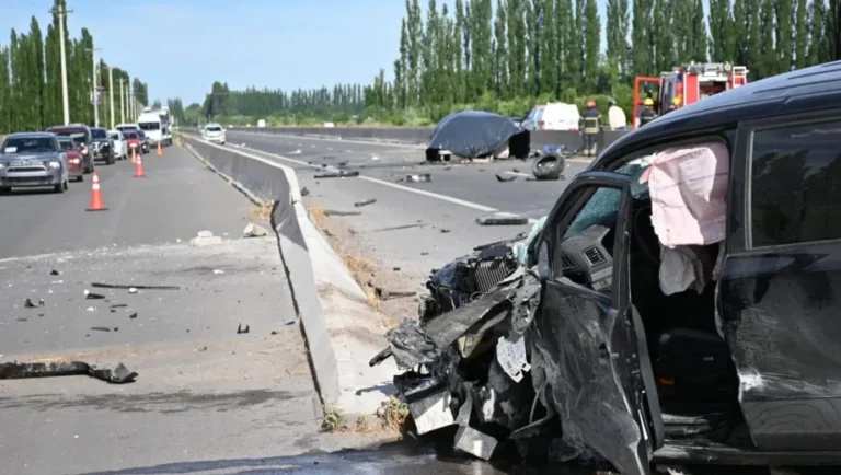 «Infractores viales bajo alcohol o drogas deberán reintegrar al Estado provincial los gastos ocasionados por la intervención de los servicios públicos»