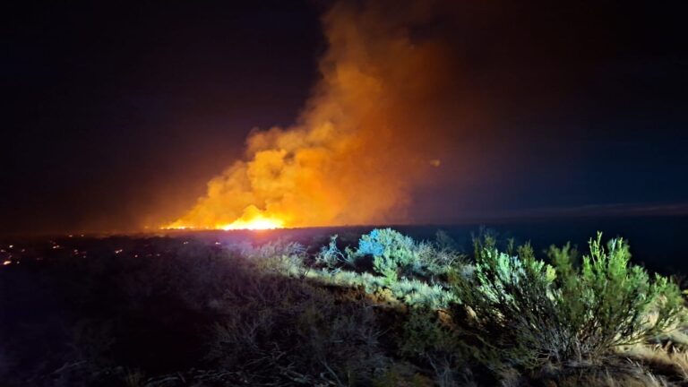 Incendio de campo provocado por rayos fue controlado por Bomberos de San Antonio Oeste y SPLIF