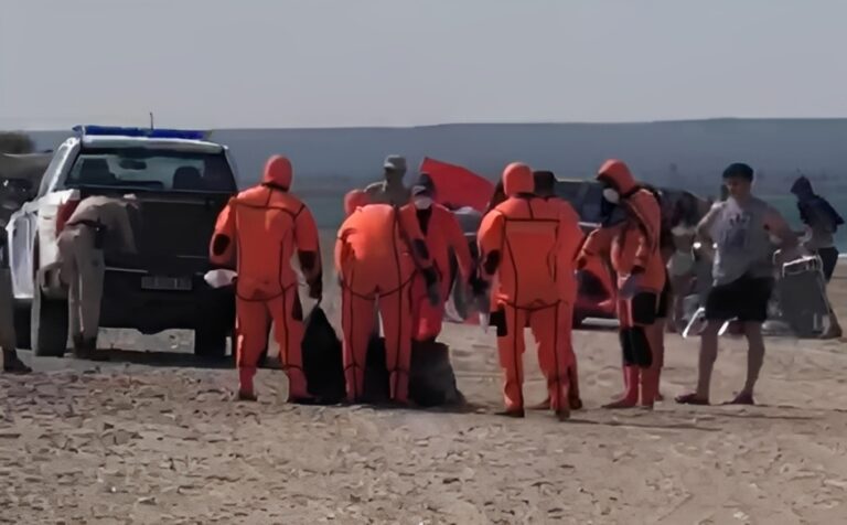 Prefectura halló un cuerpo en el mar en la Bahía de San Antonio Prefectura halló un cuerpo en el mar en la Bahía de San Antonio