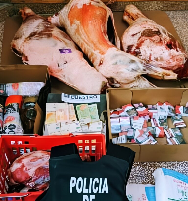 SAO: le formularon cargos por robar carne de un local con su hijo menor de edad SAO: le formularon cargos por robar carne de un local con su hijo menor de edad