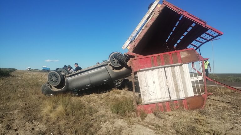 Una camioneta que trasladaba un tráiler con caballos volcó cerca de San Antonio Oeste Una camioneta que trasladaba un tráiler con caballos volcó cerca de San Antonio Oeste