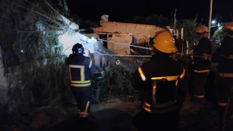 Intervención de Bomberos en SAO por caída de un árbol y detención en Las Grutas por ingreso en un domicilio Intervención de Bomberos en SAO por caída de un árbol y detención en Las Grutas por ingreso en un domicilio