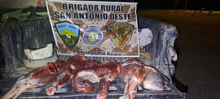SAO: intentó evadir un control y llevaba un guanaco faenado ilegalmente SAO: intentó evadir un control y llevaba un guanaco faenado ilegalmente