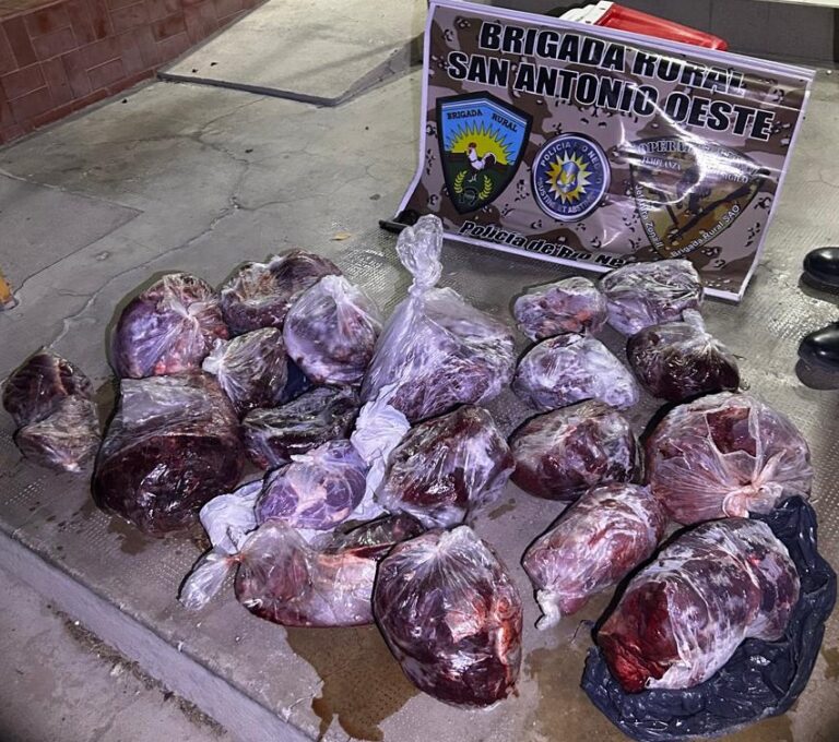Secuestran 100 kilos de carne de guanaco en un operativo de la Brigada Rural en cercanías de Los Berros Secuestran 100 kilos de carne de guanaco en un operativo de la Brigada Rural en cercanías de Los Berros