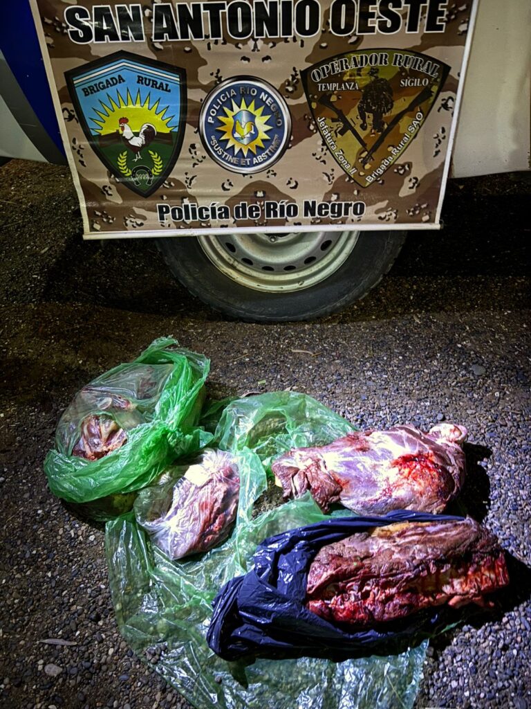 Secuestran e incineran 20 kilos de carne de potro en un control sobre la Ruta 23 Secuestran e incineran 20 kilos de carne de potro en un control sobre la Ruta 23
